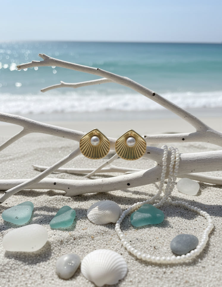 The Clam Studs