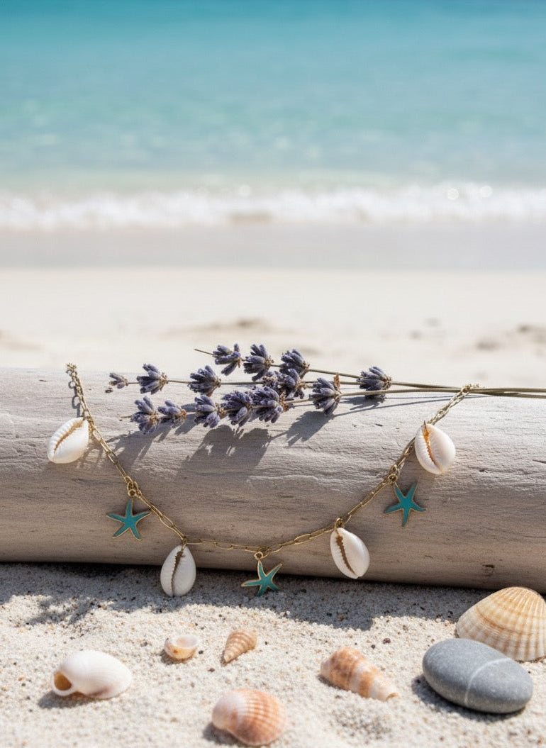 Cowrie & Starfish