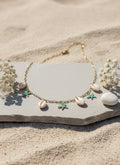 Cowrie & Starfish