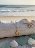 Mariposa Star